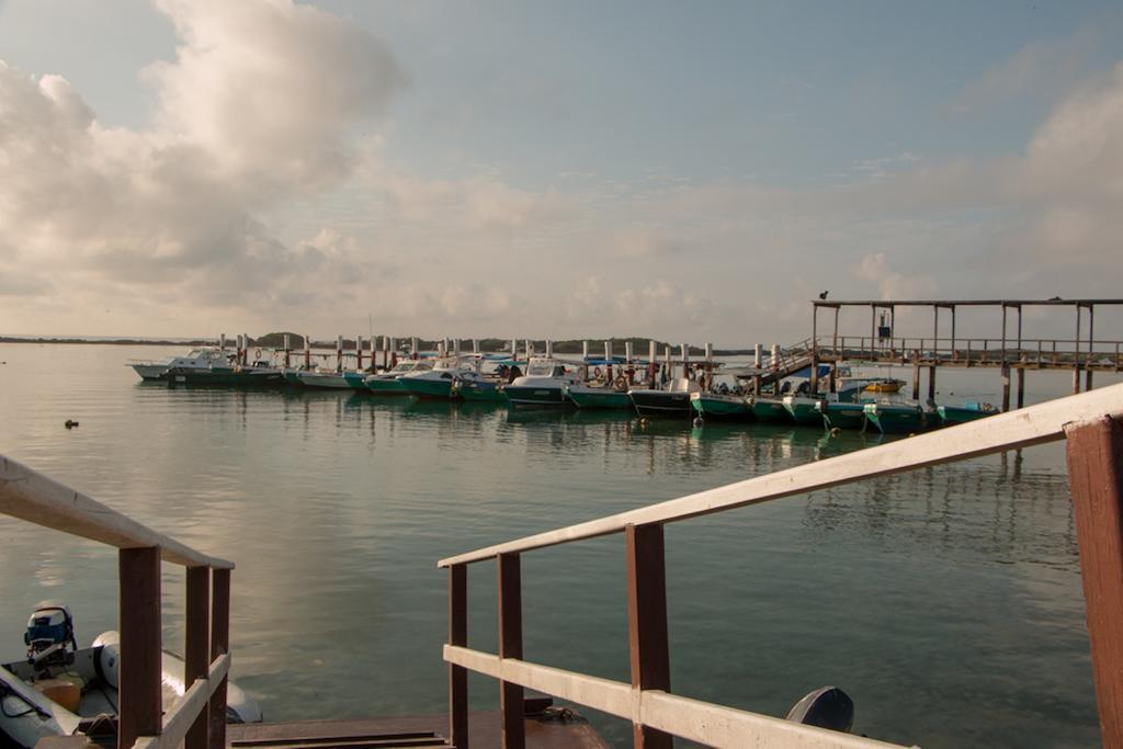 Chez Manany Galapagos Ecolodge Puerto Villamil Zewnętrze zdjęcie