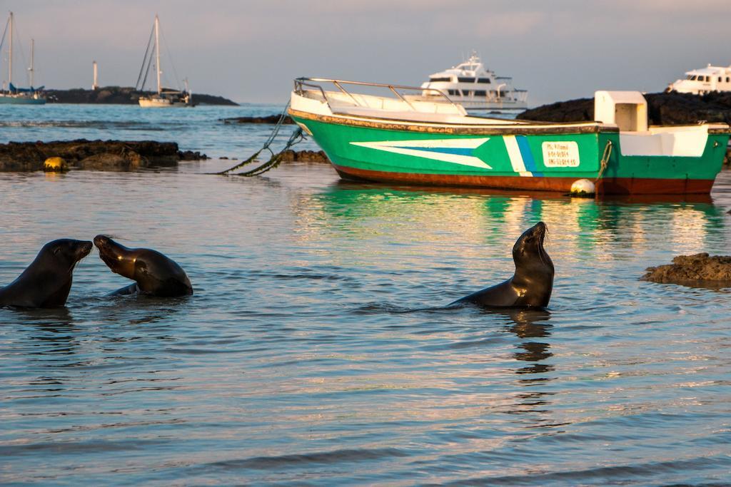 Chez Manany Galapagos Ecolodge Puerto Villamil Zewnętrze zdjęcie