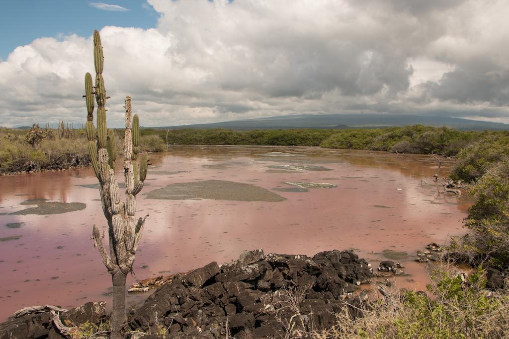 Chez Manany Galapagos Ecolodge Puerto Villamil Zewnętrze zdjęcie