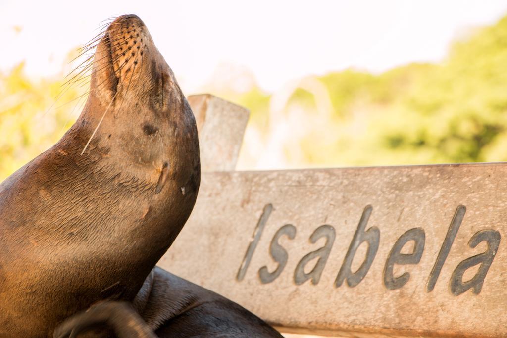 Chez Manany Galapagos Ecolodge Puerto Villamil Zewnętrze zdjęcie