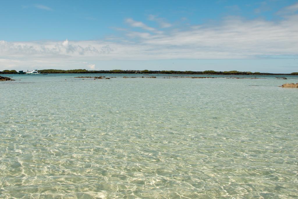Chez Manany Galapagos Ecolodge Puerto Villamil Zewnętrze zdjęcie