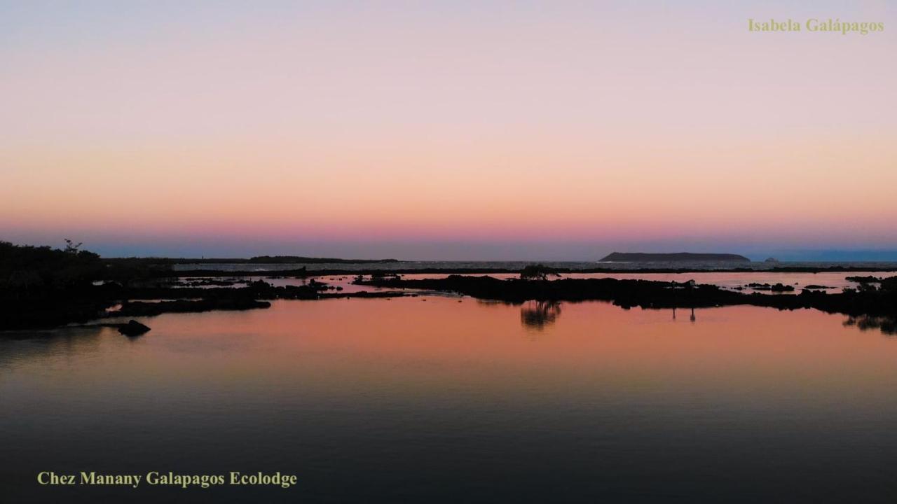 Chez Manany Galapagos Ecolodge Puerto Villamil Zewnętrze zdjęcie